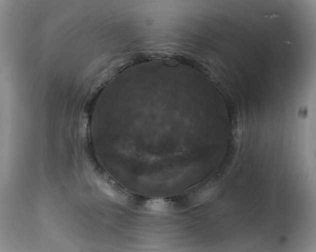 X0000112460231200908241306