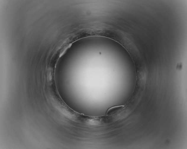 X0000112460232200908241306