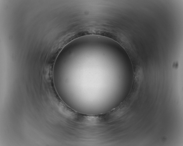 X0000112460233200908241306