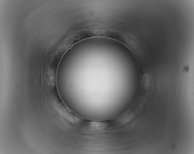 X0000112460234200908241306