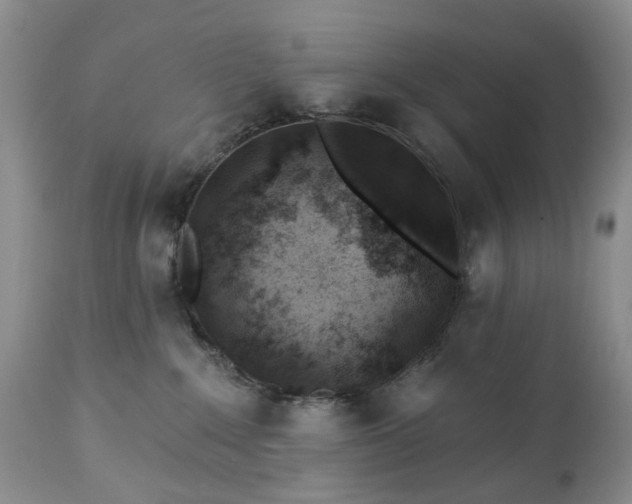 X0000112460235200908241306