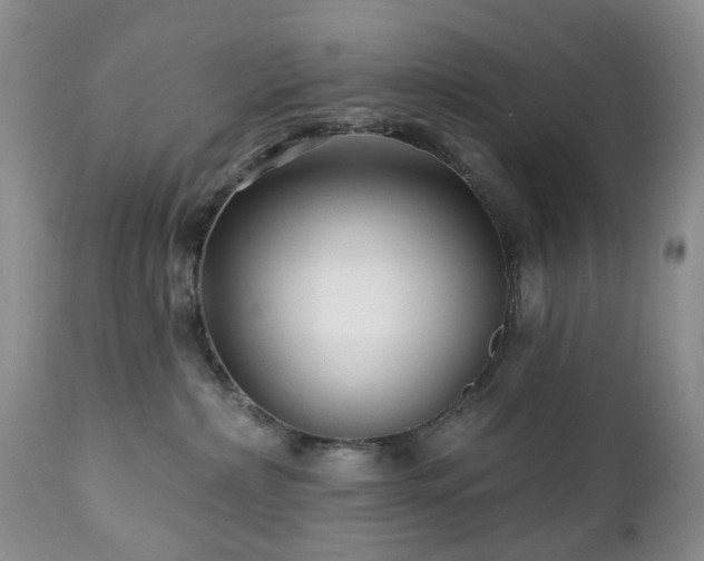 X0000112460236200908241306