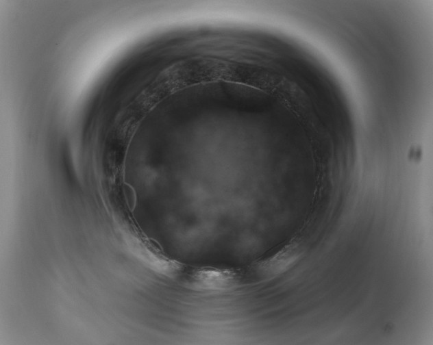 X0000112460239200908241306