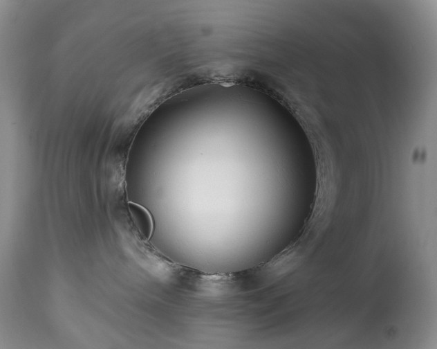 X0000112460240200908241306