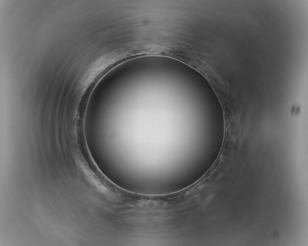 X0000112460242200908241305