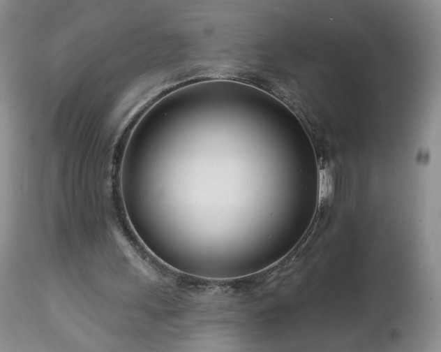 X0000112460243200908241305