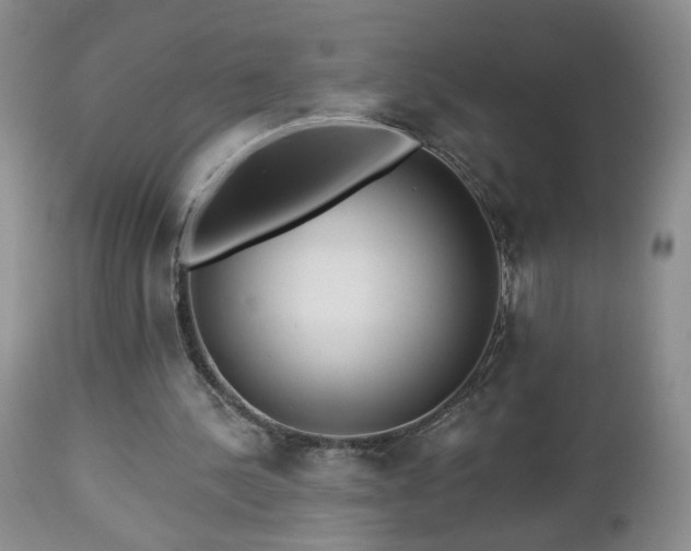 X0000112460244200908241305