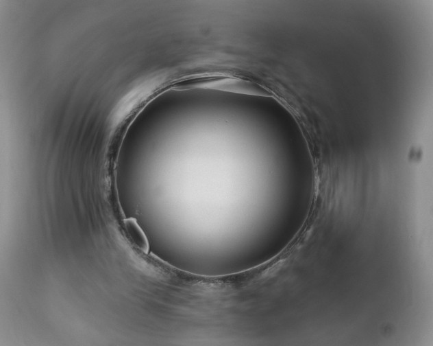 X0000112460245200908241305