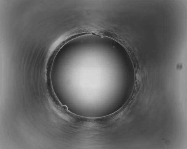 X0000112460246200908241305