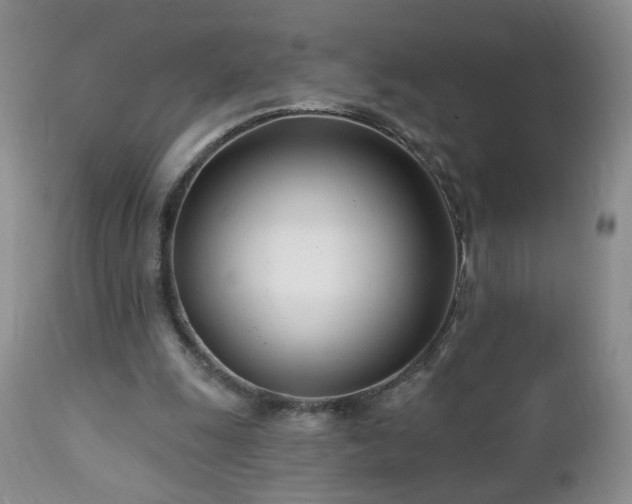 X0000112460247200908241305