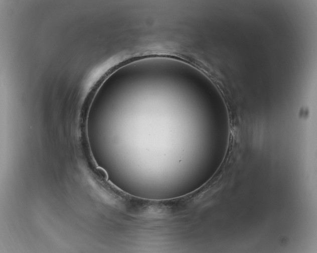 X0000112460248200908241305