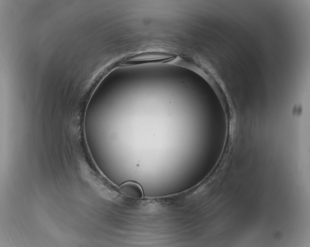 X0000112460249200908241305