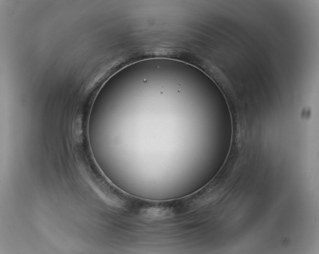 X0000112460251200908241305