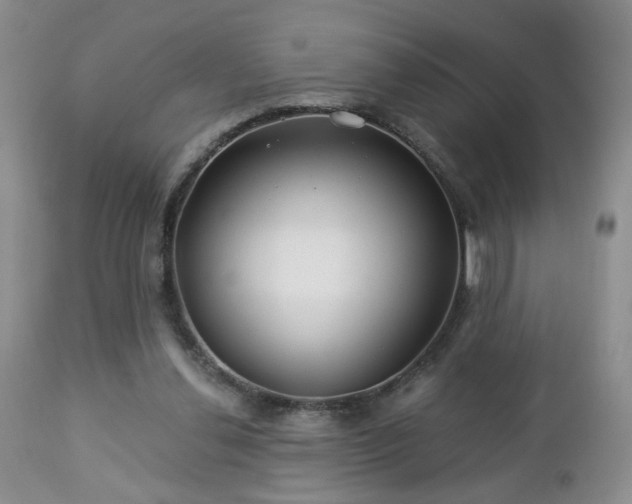 X0000112460252200908241305