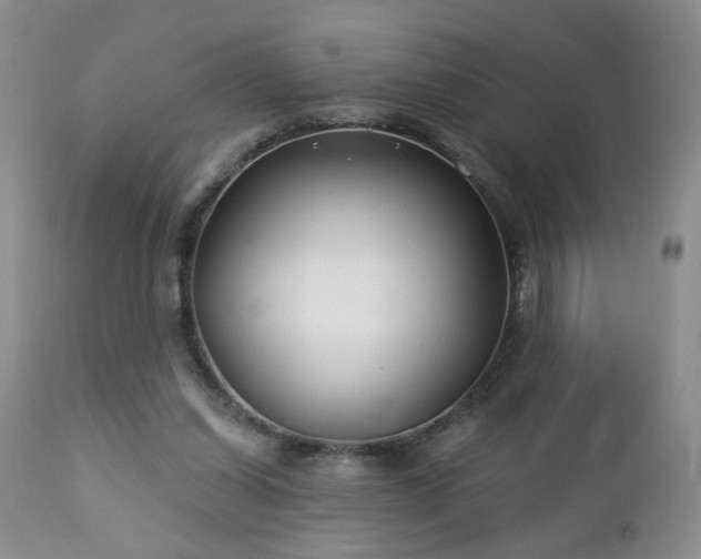 X0000112460254200908241305