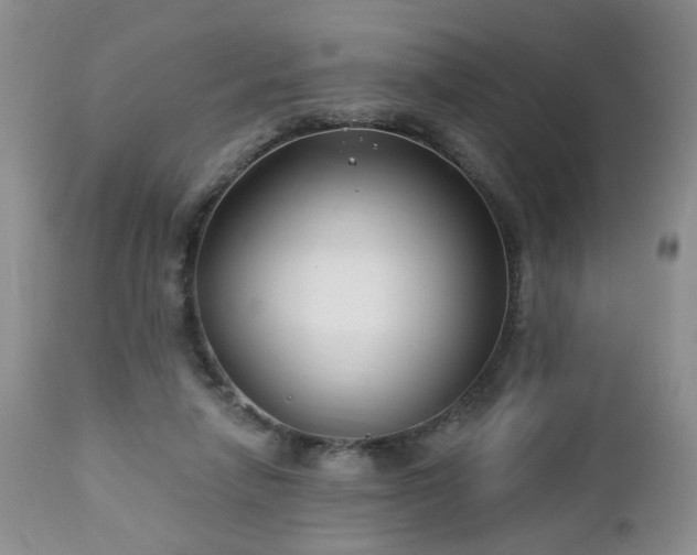 X0000112460258200908241305