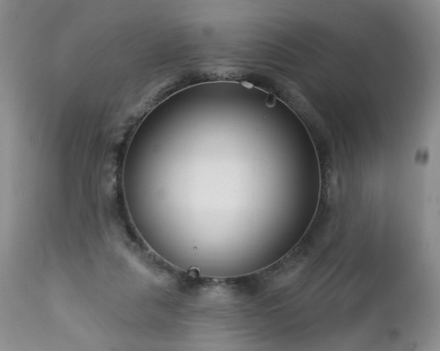 X0000112460259200908241305