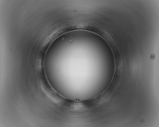 X0000112460262200908241306