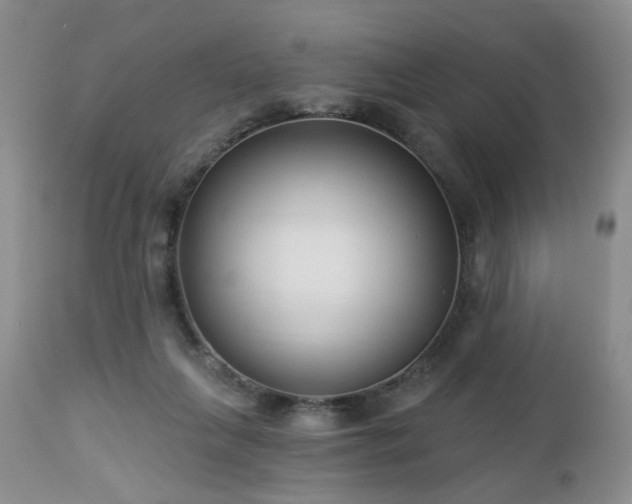 X0000112460263200908241306