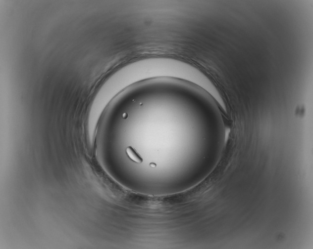 X0000112460264200908241306