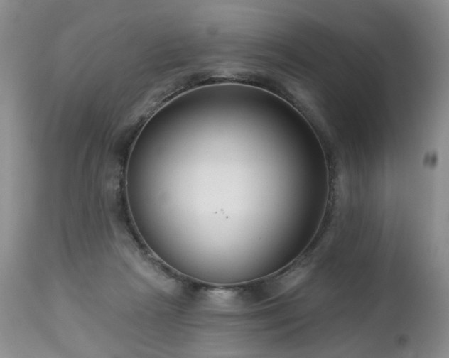 X0000112460265200908241306