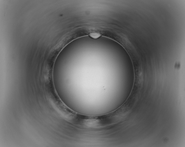 X0000112460266200908241306