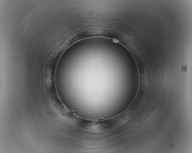 X0000112460267200908241306