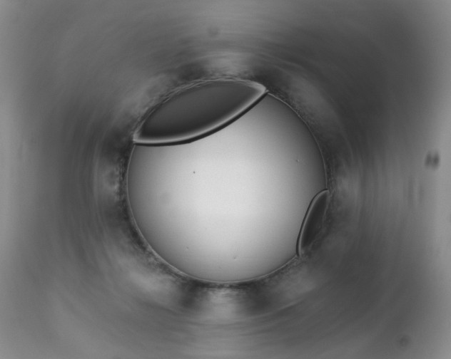 X0000112460268200908241306