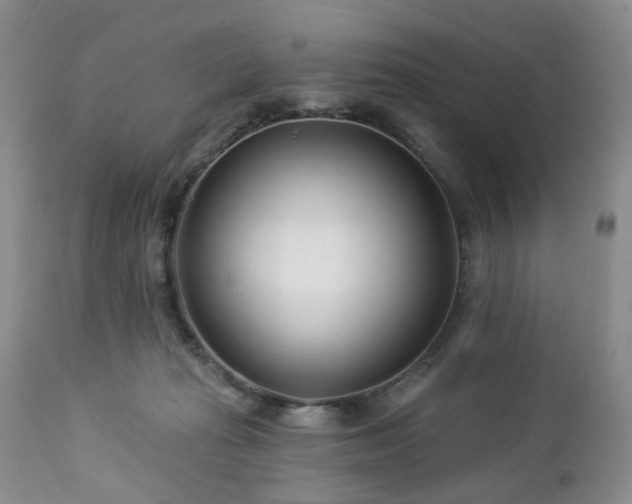 X0000112460269200908241306