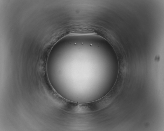 X0000112460270200908241306