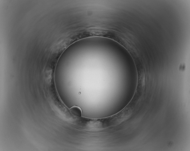 X0000112460271200908241306