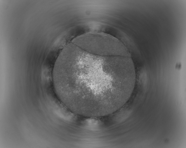 X0000112460272200908241306