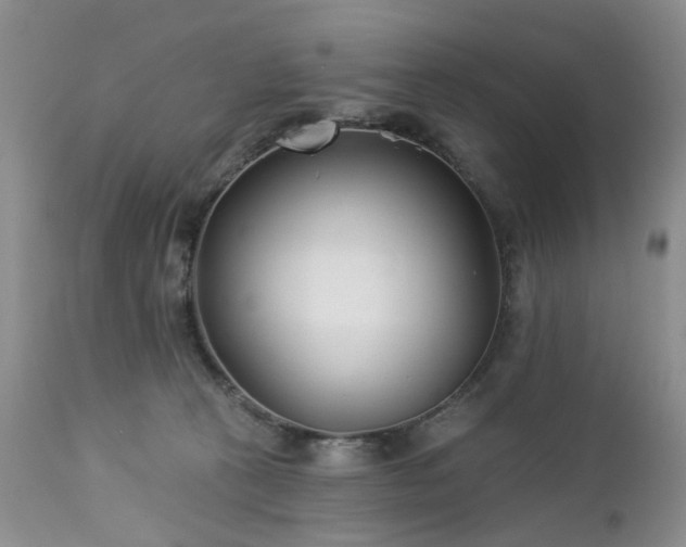 X0000112460273200908241306