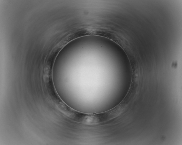 X0000112460275200908241306