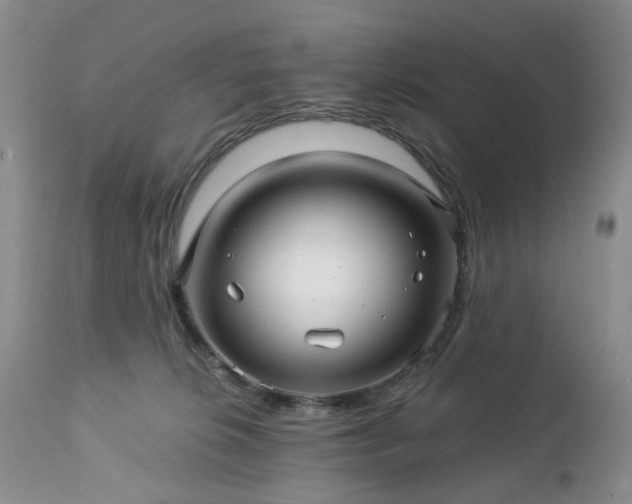 X0000112460276200908241306