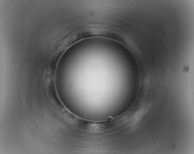 X0000112460277200908241306