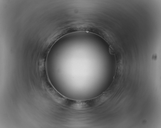 X0000112460278200908241306