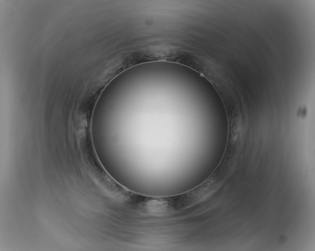 X0000112460279200908241306