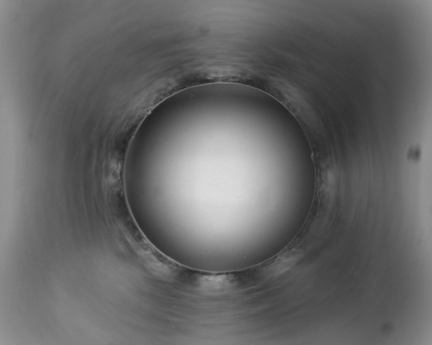 X0000112460281200908241306