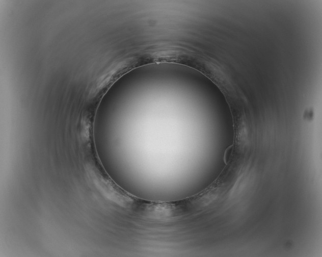 X0000112460282200908241306