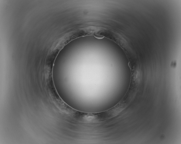 X0000112460283200908241306