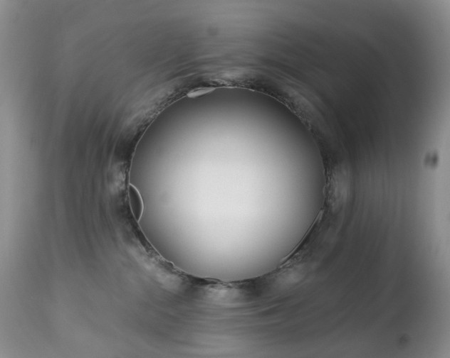 X0000112460284200908241306