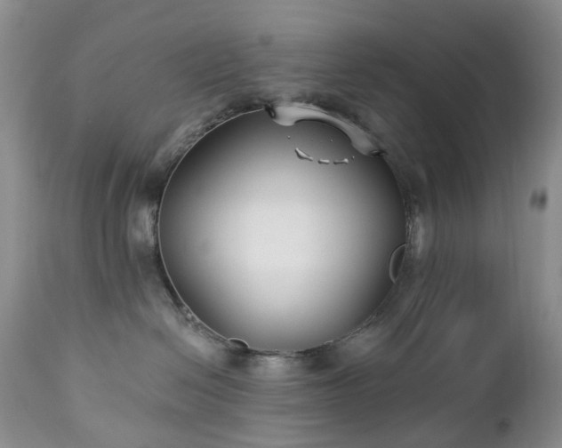 X0000112460286200908241306