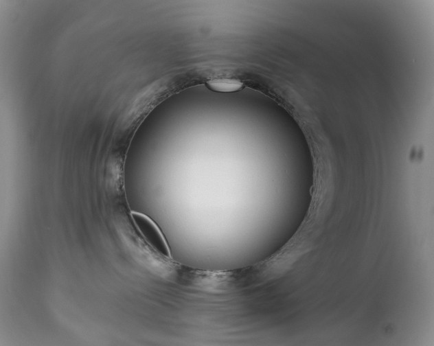 X0000112460288200908241306