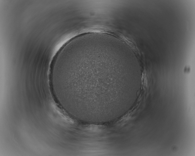 X0000112460292200908241305