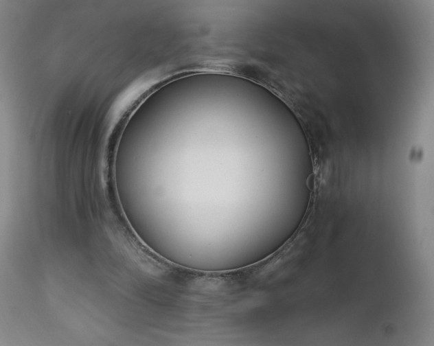 X0000112460294200908241305