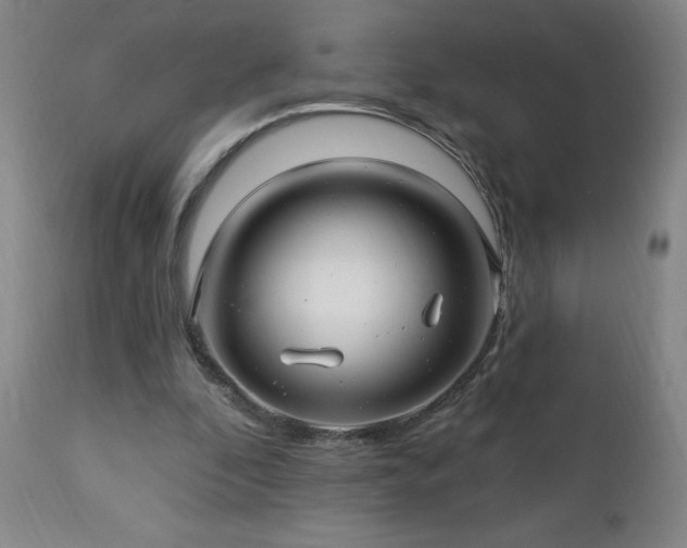 X0000112460296200908241305