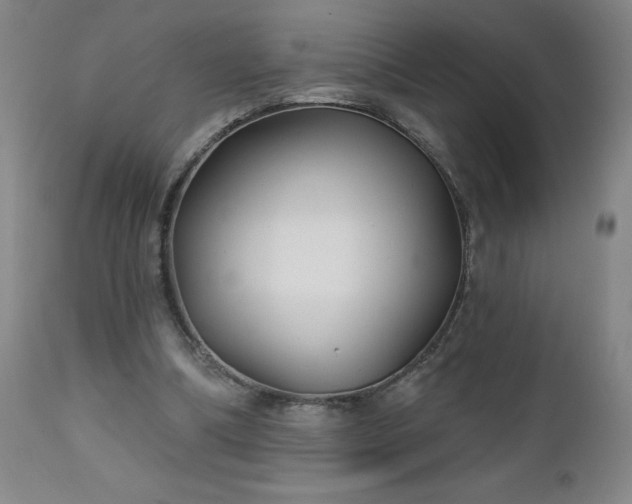 X0000112460298200908241305