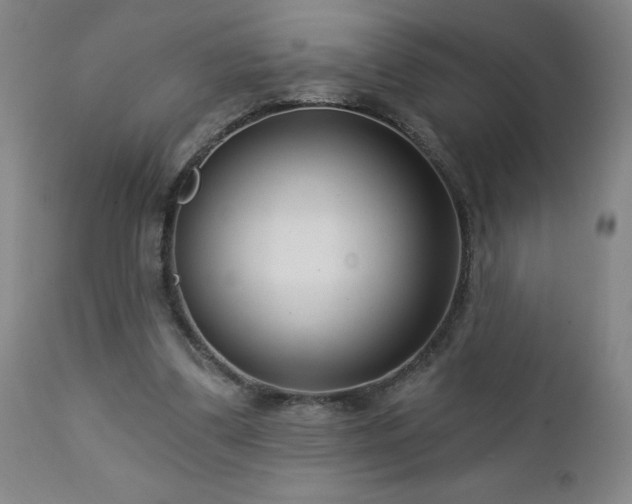 X0000112460299200908241305