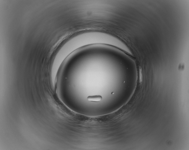 X0000112460300200908241305